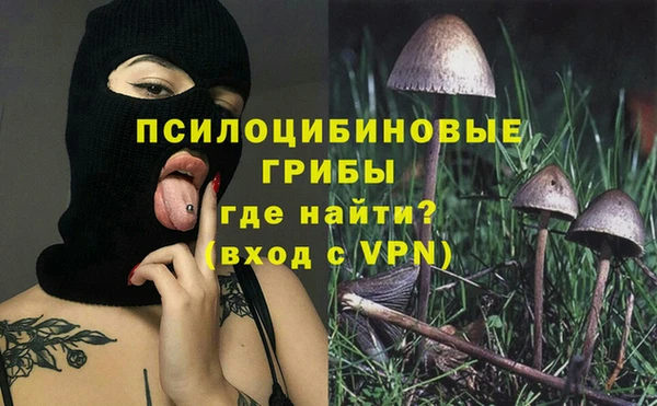 спиды Елизово
