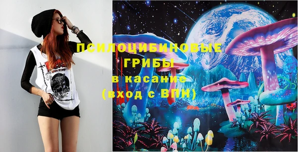 спиды Елизово