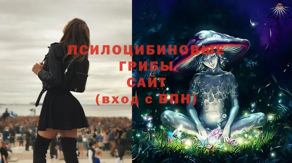 спиды Елизово