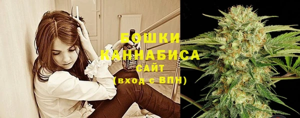 гидропоника Ельня