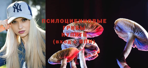 гидропоника Ельня