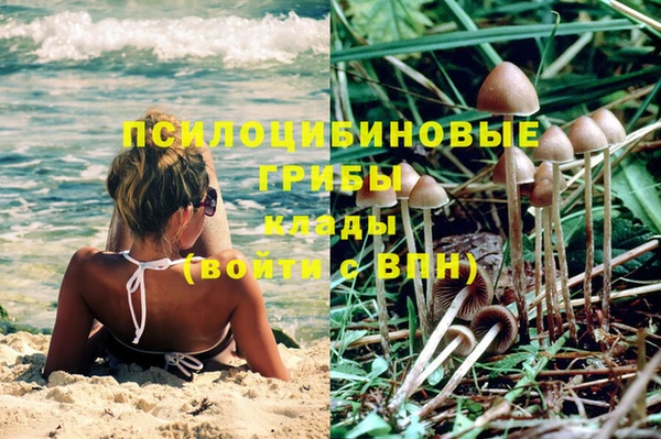 спиды Елизово