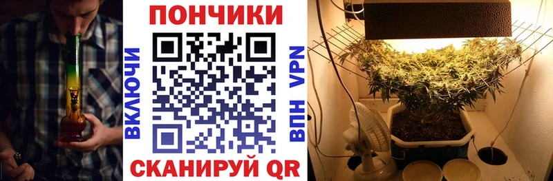 Конопля Amnesia Архангельск